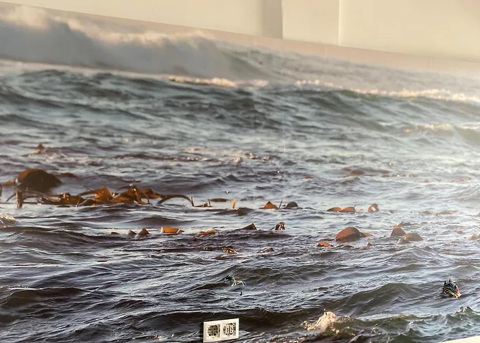 Playa Arena Grande 호텔 *